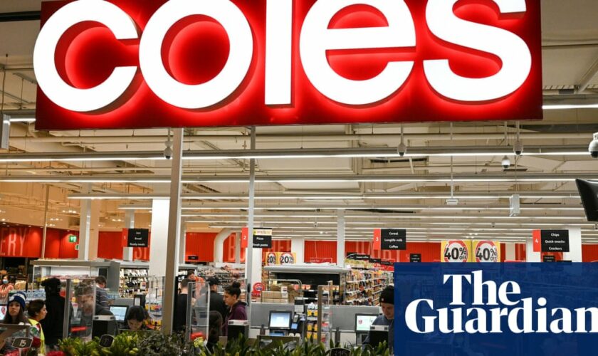 Coles unfairly targeted by ‘politicised’ attacks, chair says, while calling illusory discount allegations ‘significant’