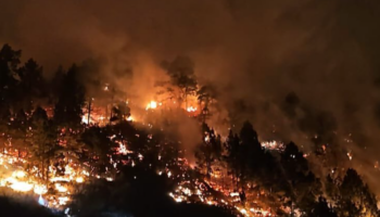 Controlado el incendio forestal de El Paso (La Palma)