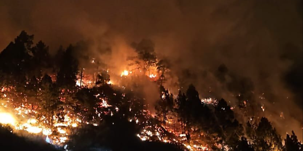 Controlado el incendio forestal de El Paso (La Palma)