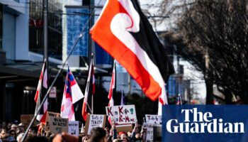 Controversial bill to reinterpret New Zealand’s founding document reaches parliament