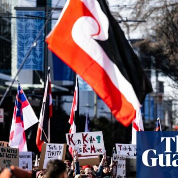 Controversial bill to reinterpret New Zealand’s founding document reaches parliament