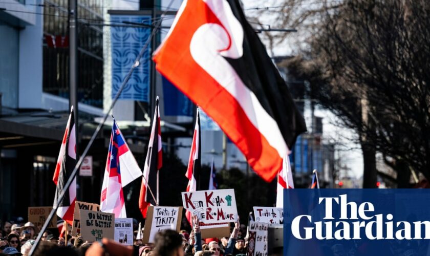 Controversial bill to reinterpret New Zealand’s founding document reaches parliament