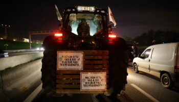 DIRECT. Colère des agriculteurs : barrage sur la N118 à Vélizy, début du blocage du pont de l'Europe à Avignon