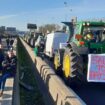 Dans les Yvelines, pas de blocage des agriculteurs sur l’A13, la N12 ni la N118 pour ne « pas emmerder le public »