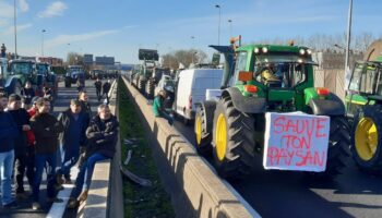 Dans les Yvelines, pas de blocage des agriculteurs sur l’A13, la N12 ni la N118 pour ne « pas emmerder le public »