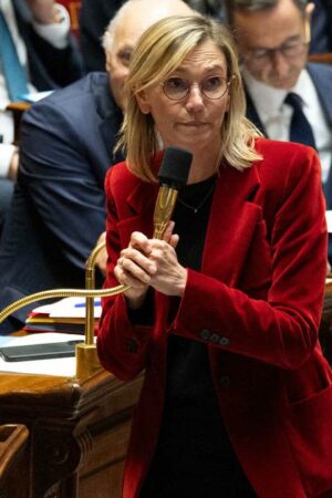 De la COP29 au budget : Agnès Pannier-Runacher, la ministre qui veut se faire entendre