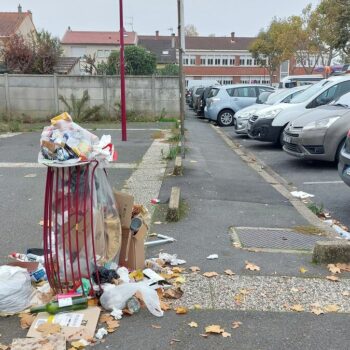 Déchets dans les rues, déjections canines : Bezons mise sur le privé pour son plan propreté