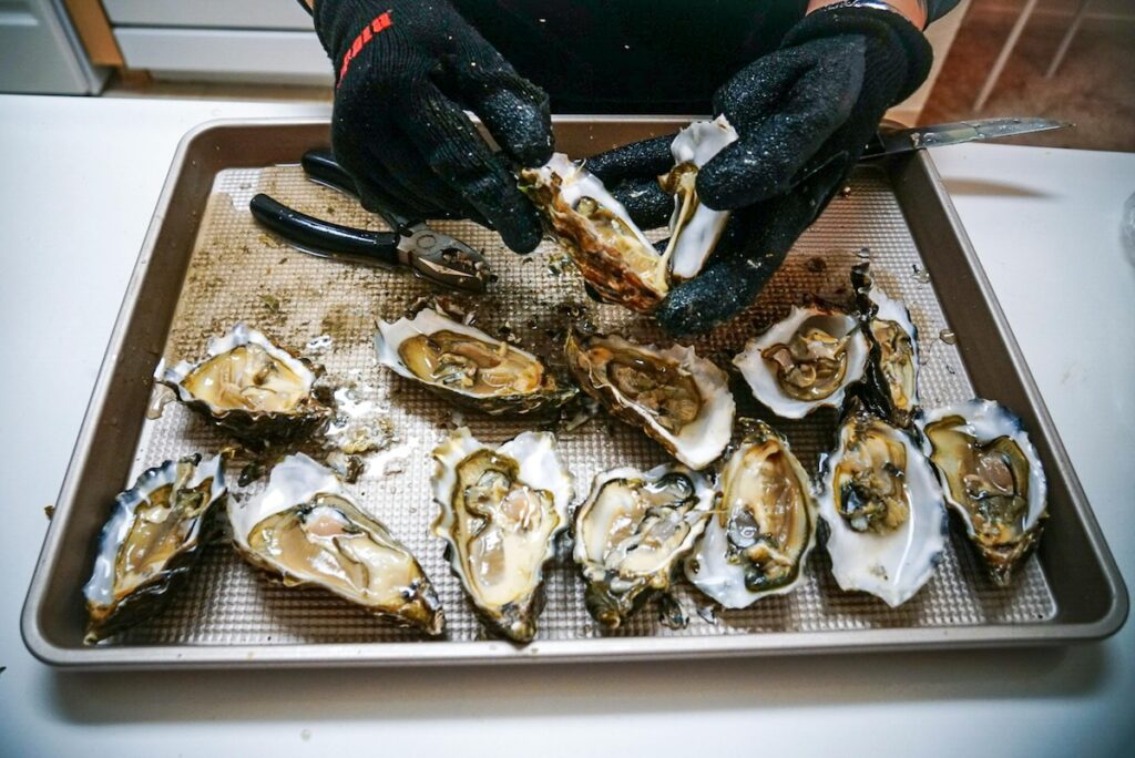 Des algues susceptibles de provoquer des pertes de mémoire pourraient se cacher dans nos fruits de mer