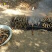 Des pêcheries vieilles de 4 000 ans découvertes dans les basses terres de Belize