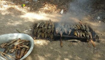 Des pêcheries vieilles de 4 000 ans découvertes dans les basses terres de Belize