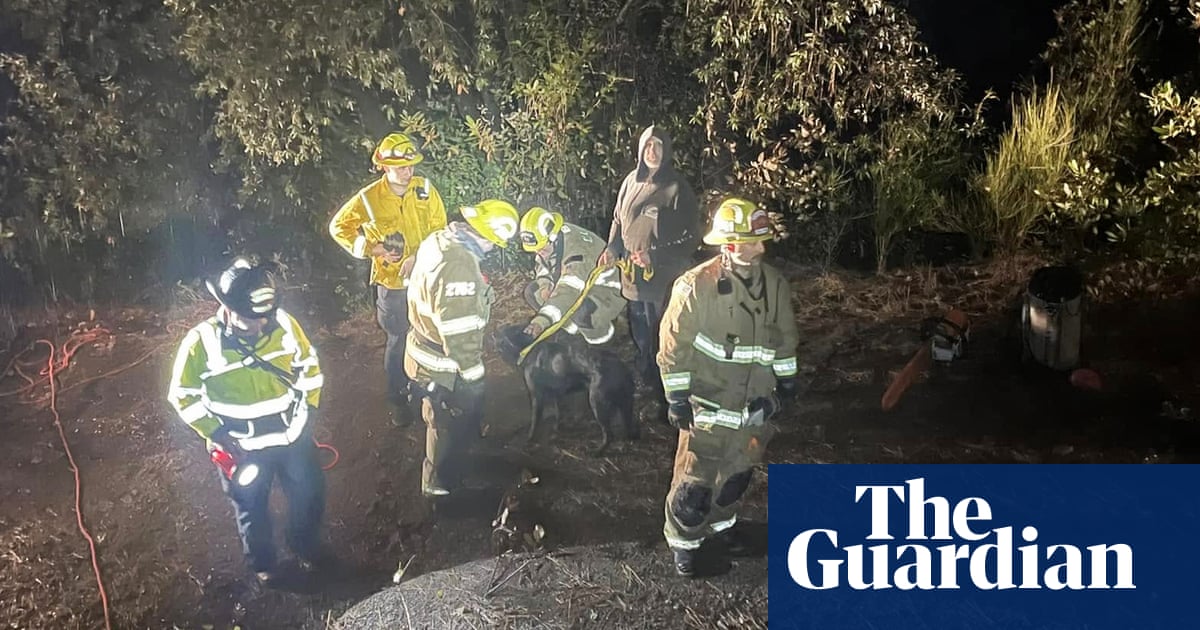 Dog who fell 50ft down abandoned mine shaft rescued by California firefighters