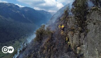 Ecuador: Wildfires trigger national emergency