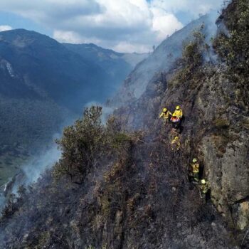 Ecuador: Wildfires trigger national emergency