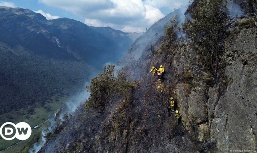 Ecuador: Wildfires trigger national emergency