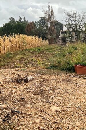 El Valle de la Bekaa libanés: de producir vino al baño de sangre