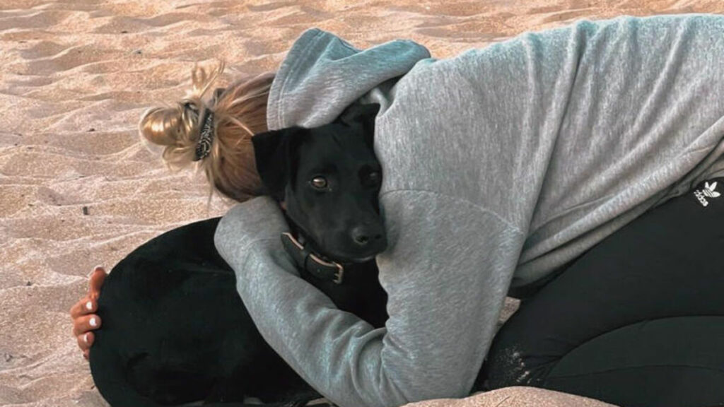 « Elle s’est jetée dans les bras de sa maîtresse » : Amalka, la chienne perdue à l’aéroport Roissy-Charles-de-Gaulle, a été retrouvée