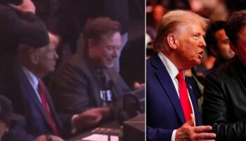 Elon Musk 'giggles at memes' before Donald Trump tells him to pay attention to UFC fight