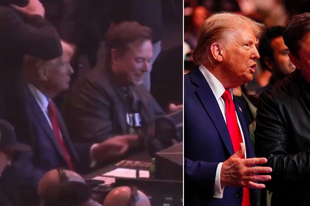 Elon Musk 'giggles at memes' before Donald Trump tells him to pay attention to UFC fight