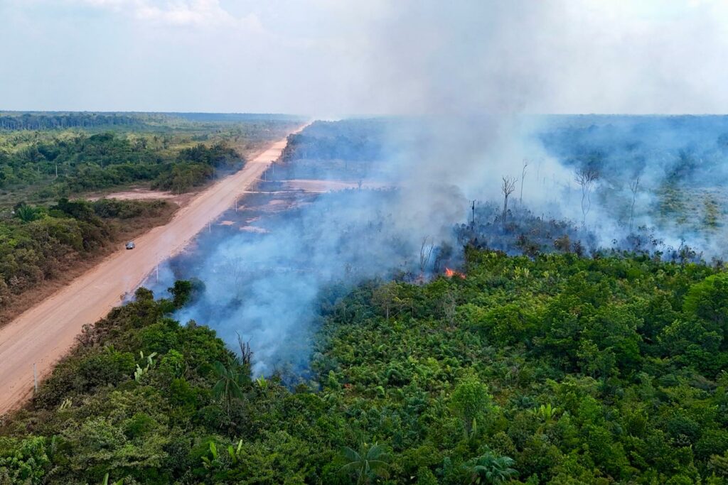 En Amazonie, la déforestation à son plus bas niveau depuis neuf ans