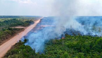 En Amazonie, la déforestation à son plus bas niveau depuis neuf ans