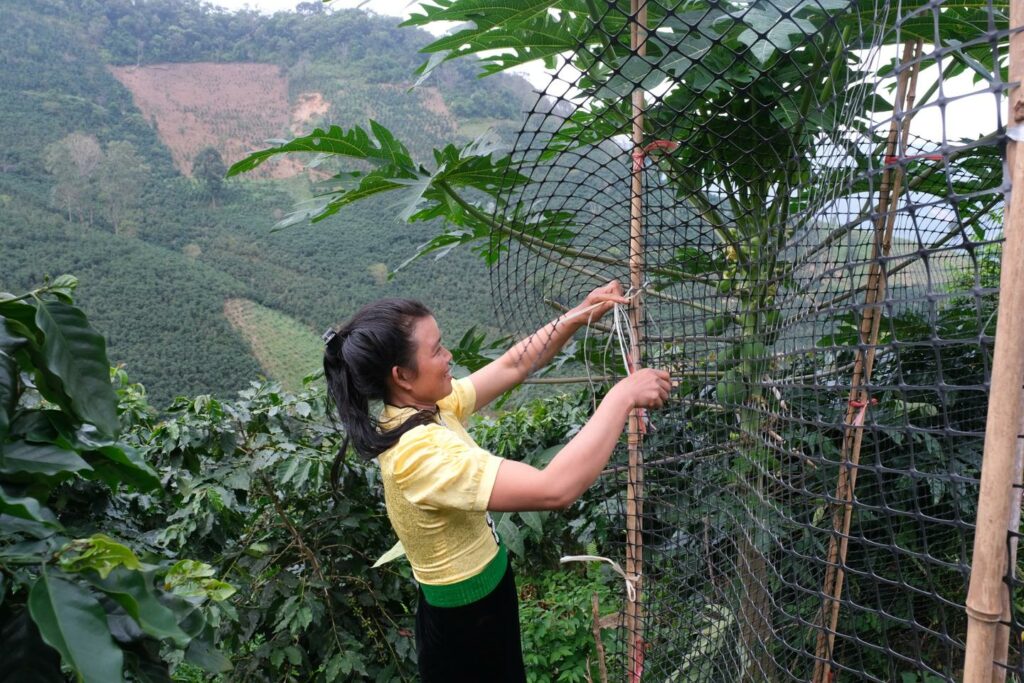 En Asie du Sud-Est, le Vietnam s’engage sur la voie de la transition agroécologique