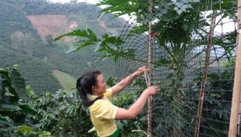 En Asie du Sud-Est, le Vietnam s’engage sur la voie de la transition agroécologique