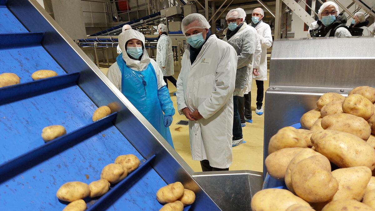 En Seine-et-Marne, Approv’Halles nourrit en circuit court les élèves de 119 cantines des collèges