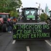 En direct, colère des agriculteurs : de Strasbourg à Bordeaux, « le temps de l’action est revenu »