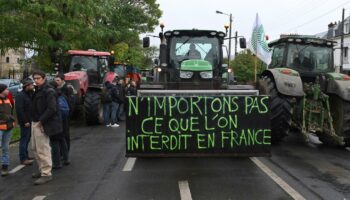 En direct, colère des agriculteurs : de Strasbourg à Bordeaux, « le temps de l’action est revenu »