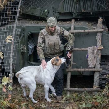 En direct, guerre en Ukraine : Volodymyr Zelensky assure que les soldats nord-coréens ont commencé à combattre