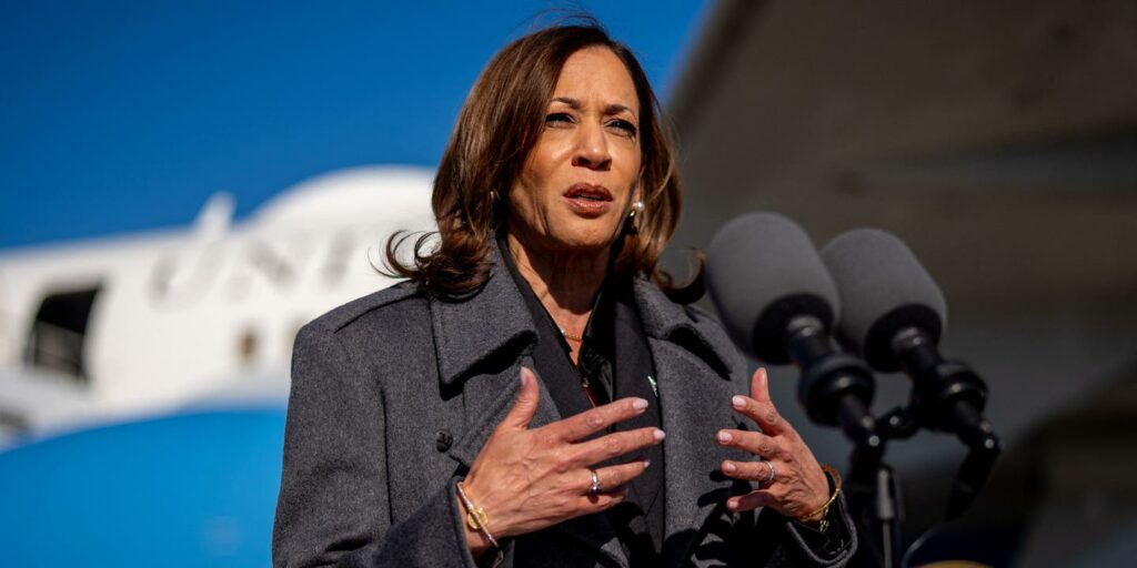 En direct, présidentielle américaine 2024 : selon Kamala Harris, la violence verbale de Donald Trump le « disqualifie » pour la Maison Blanche