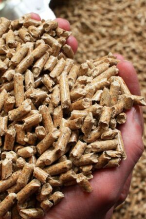 Das Energieunternehmen Leag übernimmt einen Holzpellet-Produzenten aus Schweden. (Symbolbild) Foto: picture alliance / Jens Bütt