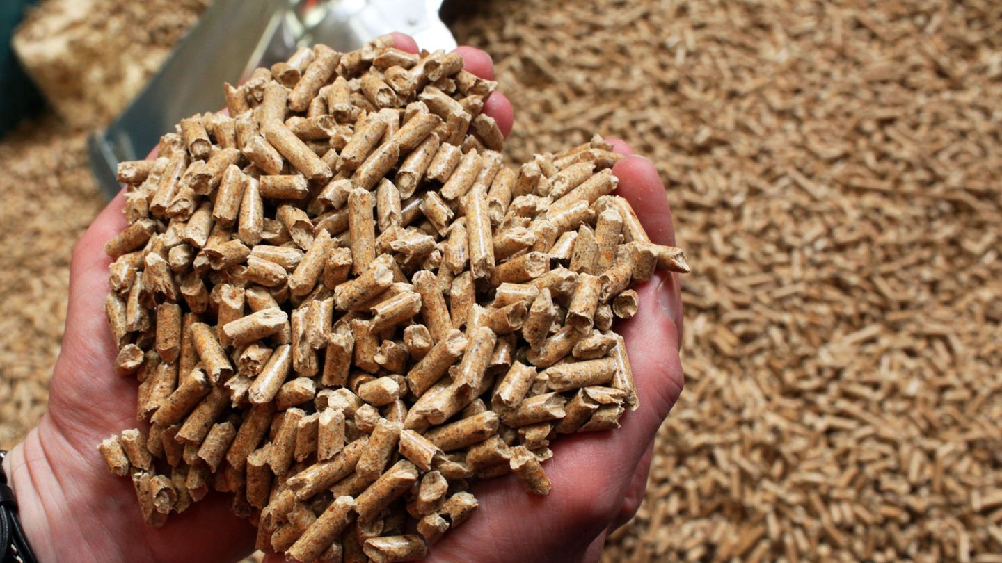 Das Energieunternehmen Leag übernimmt einen Holzpellet-Produzenten aus Schweden. (Symbolbild) Foto: picture alliance / Jens Bütt