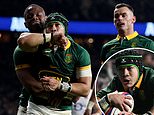 England 20-29 South Africa: Cheslin Kolbe scores two tries in impressive comeback win for the world champions as Steve Borthwick's side suffer a FIFTH straight defeat