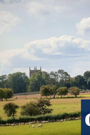 Environmental grants promised to farmers in England frozen