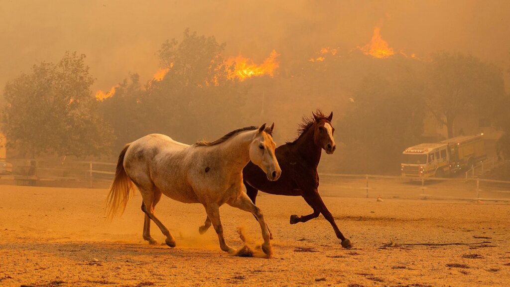 Erderwärmung: Mit Trump steht der internationale Klimaschutz am Abgrund