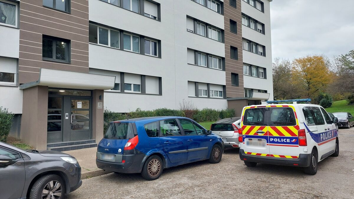 Essonne : un jeune homme de 20 ans meurt poignardé dans une cave à Saint-Michel-sur-Orge