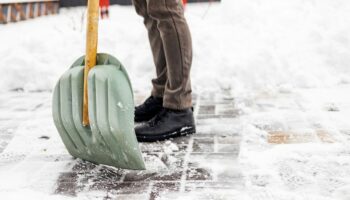 Et les feuilles mortes, saletés, etc?: Est-on obligé de déneiger devant chez soi au Luxembourg ?