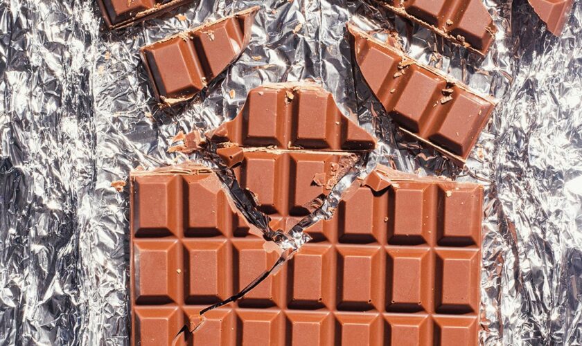 Face à l'explosion des prix, des scientifiques ont créé le chocolat sans cacao