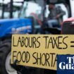 Far-right groups plan to hijack farmers’ protest in London against tax changes