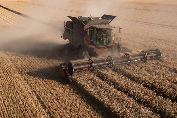 'Farmers who join London tax protest are there out of greed - they don't care about farming'