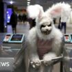 Fire, fish and a zombie rabbit: Photos of the week