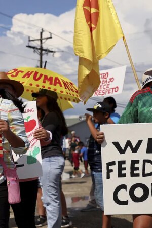 Florida, la tierra perdida por los demócratas