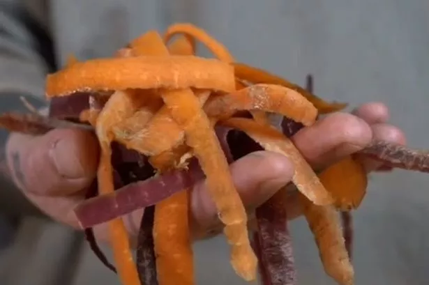 Food expert shares genius method for making stock cubes out of vegetable scraps