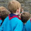 From woggle to woke, Scouts aged eight play 'pronoun' game using animal cards featuring 'non-binary' butterflies