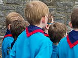 From woggle to woke, Scouts aged eight play 'pronoun' game using animal cards featuring 'non-binary' butterflies