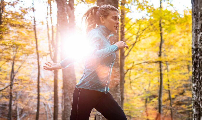 Jogging-Outfit im Herbst: Junge Frau joggt durch herbstlichen Wald