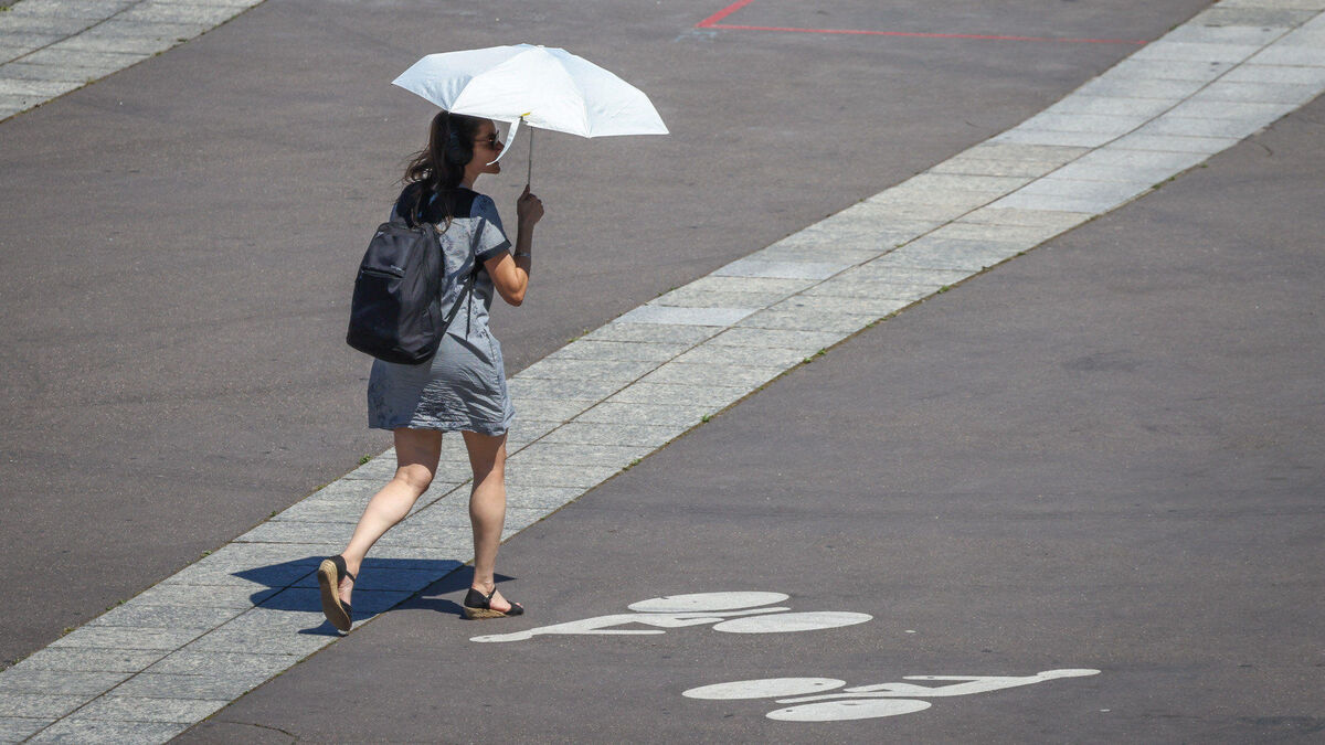 « Garantir la vie humaine dans notre ville » : au Conseil de Paris, l’urgence climatique échauffe les débats