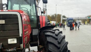 « Gêner sans bloquer » : sur l’A1 et l’A16, les agriculteurs en colère s’attaquent aux chargements des camions