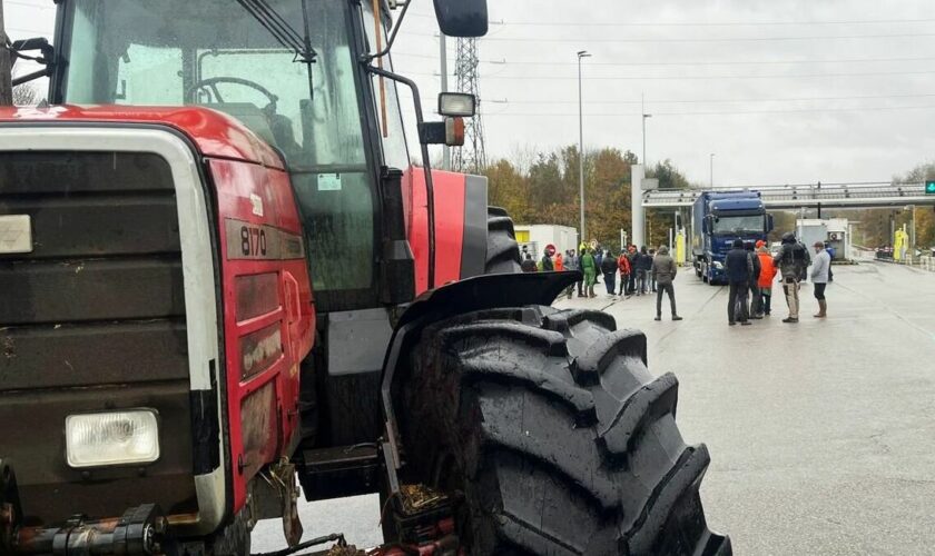 « Gêner sans bloquer » : sur l’A1 et l’A16, les agriculteurs en colère s’attaquent aux chargements des camions